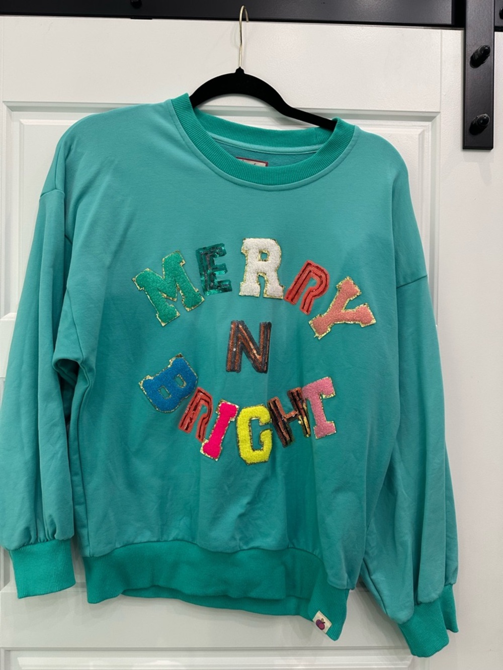 cheeky plum Teal Crewneck Sweatshirt with Pink Logo Trim